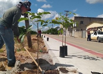 Sooretama: Comunidade de Chumbado recebe pavimentação, calçada cidadã e arborização