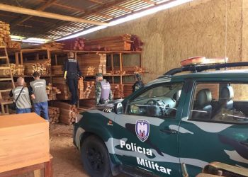 Operação desarticula desmatamento ilegal e outros crimes em Colatina, Marilândia, Gov. Lindenberg e Vila Valério