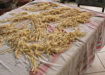 Made in Linhares: Tripinha pode se tornar patrimônio cultural imaterial do ES