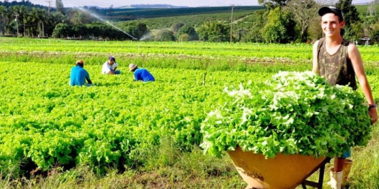 Produtores rurais recebem assistência técnica em quatro municípios do norte capixaba