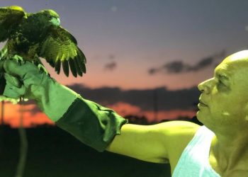 LINHARES GANHA EMPRESA PIONEIRA NO RAMO DA FALCOARIA