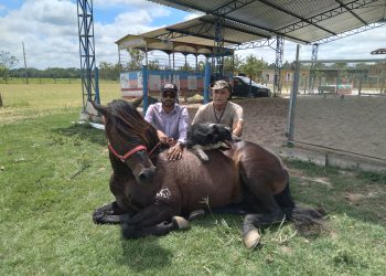 Cavalo premiado nos principais rodeios do Brasil é atração em Linhares