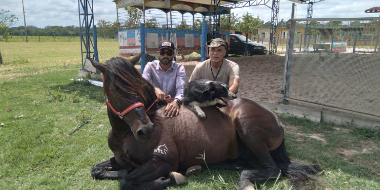 Cavalo premiado nos principais rodeios do Brasil é atração em Linhares