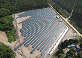 Sicoob ES inaugura usina fotovoltaica e amplia produção de energia limpa que abastece agências