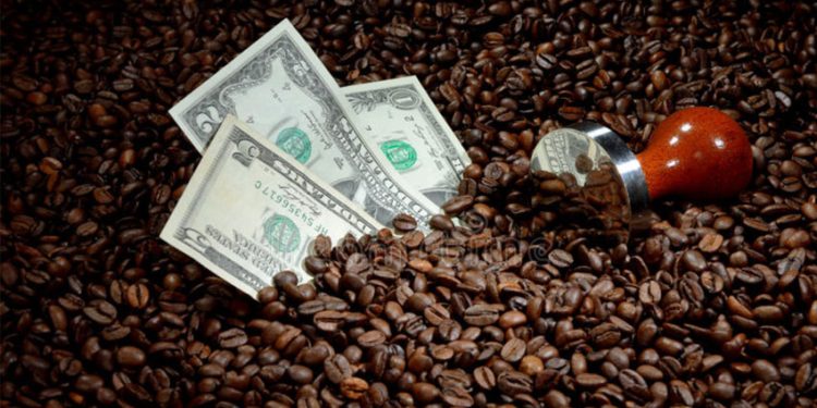 Brasil exporta mais de 40 milhões de sacas de café com faturamento de 6 bi em 2021