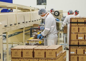 Linhares é o segundo município capixaba que mais gera empregos