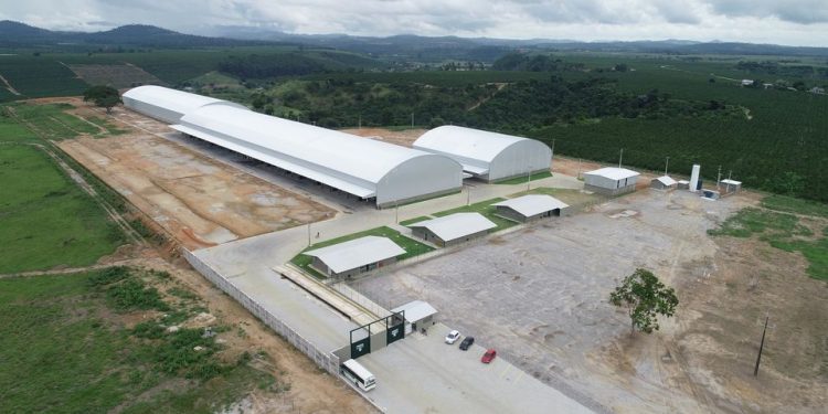 AgroCP dobrará capacidade de produção de unidade em Rio Bananal