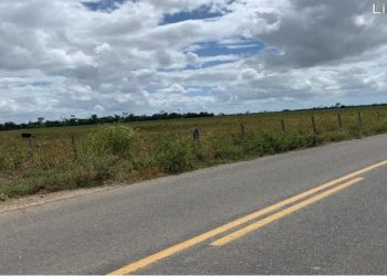 Imóveis localizados no Norte do Estado em leilão nesta quarta-feira (21)