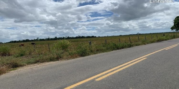Imóveis localizados no Norte do Estado em leilão nesta quarta-feira (21)