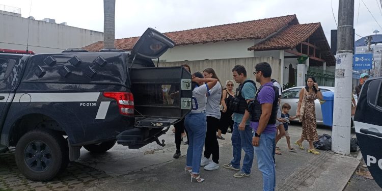 Donas de empresa são presas por crimes de estelionato em Linhares