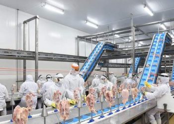 Proteinorte Alimentos oferece vagas de emprego em Linhares