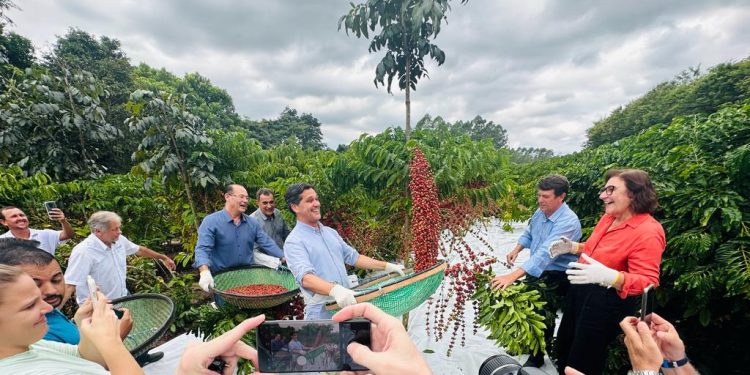 Aberta oficialmente em Jaguaré a colheita do café Conilon no ES