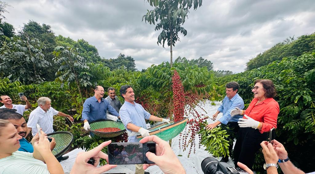 Aberta Oficialmente Em Jaguaré A Colheita Do Café Conilon No Es Jornal Norte Capixaba 5826