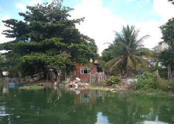 Rios e lagoas de Linhares agonizam por descaso e poluição