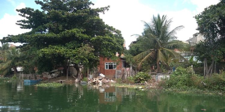 Rios e lagoas de Linhares agonizam por descaso e poluição