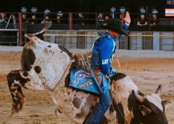 Festa de Sooretama também terá rodeio além de shows nacionais