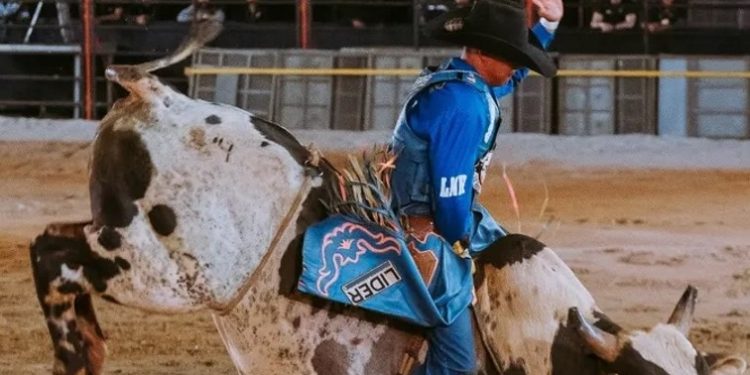 Festa de Sooretama também terá rodeio além de shows nacionais