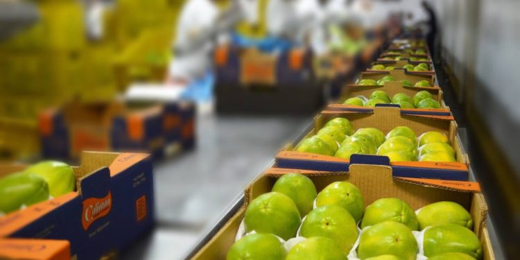 Empresa realiza mutirão para contratação de trabalhadores em Sooretama neste sábado (24)