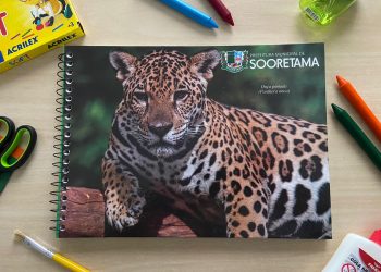 Sooretama 30 anos: animais da fauna local ilustram cadernos distribuídos aos alunos do município
