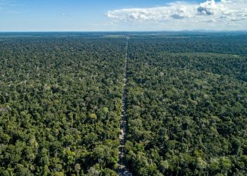 Prefeitura de Sooretama oferece vagas na área de meio ambiente