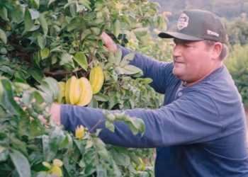 Produtor rural capixaba ganha prêmio nacional de sustentabilidade