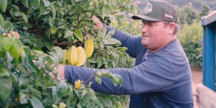 Produtor rural capixaba ganha prêmio nacional de sustentabilidade