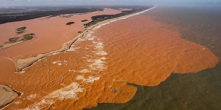 Indenização de R$ 35 mil: Samarco recebe mais de 62 mil requerimentos nos primeiros dias