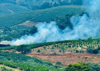Queima de palha em secadores de café e excesso de fumaça voltam a causar transtornos em Rio Bananal