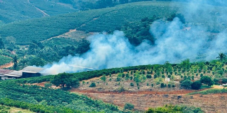 Queima de palha em secadores de café e excesso de fumaça voltam a causar transtornos em Rio Bananal