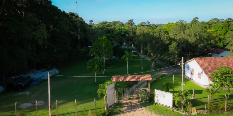 Patrimônio do mundo: Reserva Biológica de Sooretama completa 43 anos
