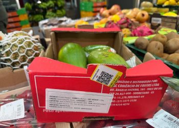 Mamão de Sooretama é destaque em supermercados na Europa