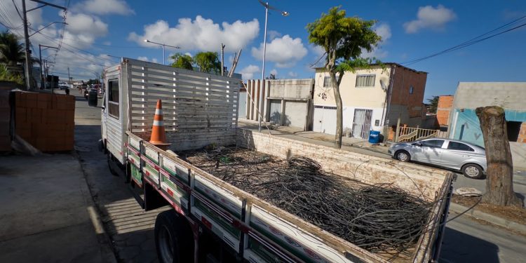 Sooretama melhora segurança e estética urbana com remoção de fios inutilizados