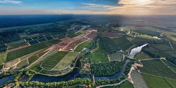 Jaguaré lança primeira Rota Turística do Café Conilon no Espírito Santo