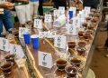 Vencedores do 5º Concurso de Qualidade do Café Conilon de Jaguaré serão anunciados nesta quinta-feira (24)